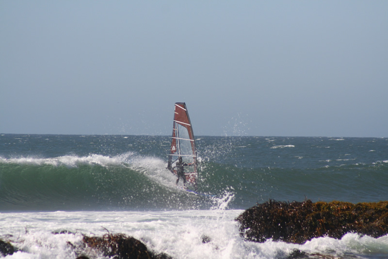 IMG_4225.jpg