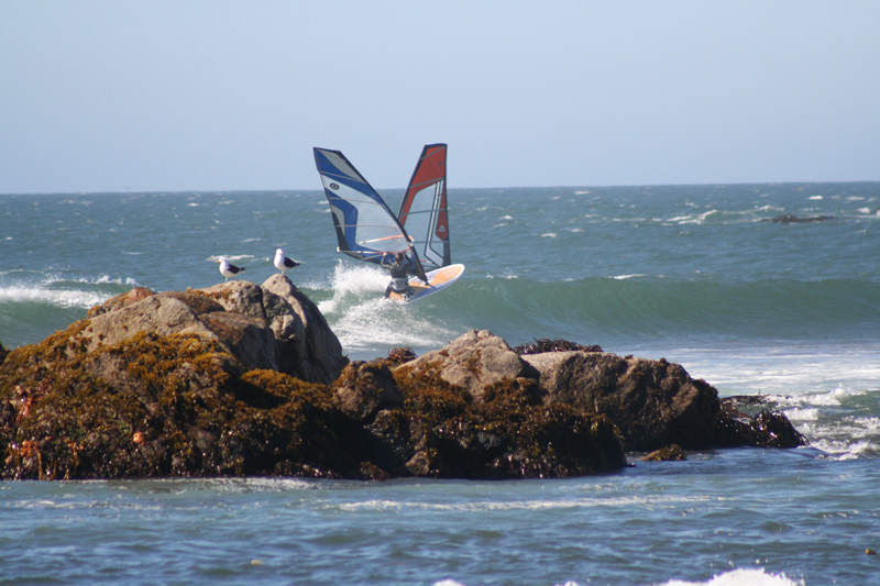 IMG_4281.jpg