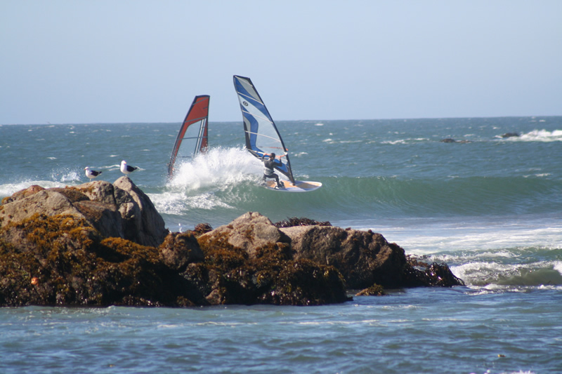 IMG_4282.jpg