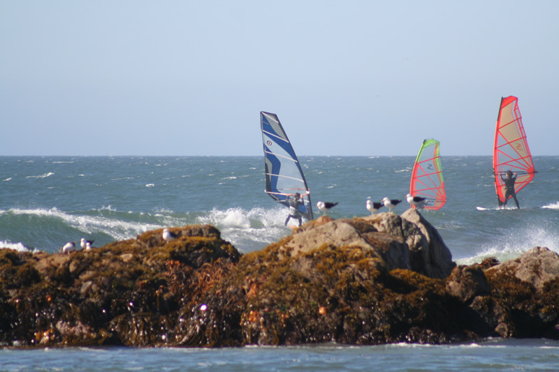 IMG_4445.jpg