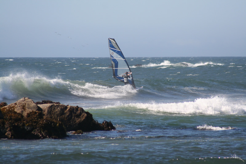 IMG_4447.jpg