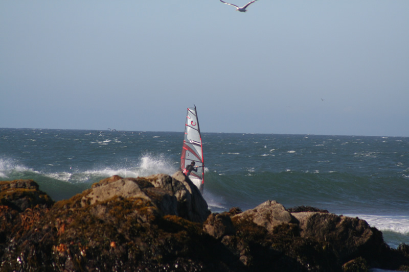 IMG_4586.jpg